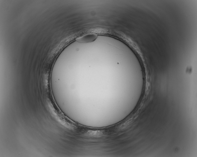 X0000116000057200912101327