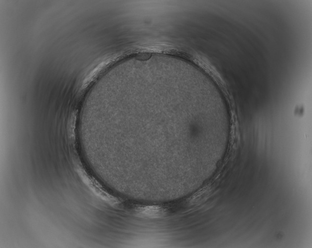 X0000116000058200912101327