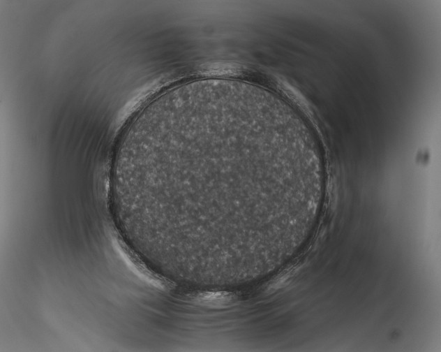 X0000116000059200912101327