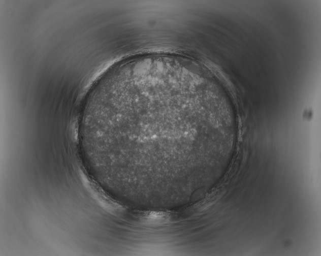 X0000116000060200912101327