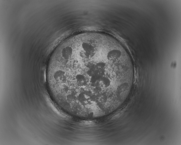 X0000116000061200912101327