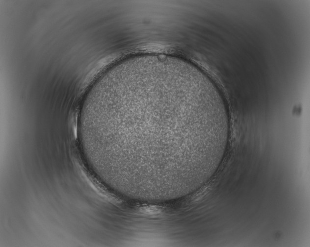X0000116000062200912101327