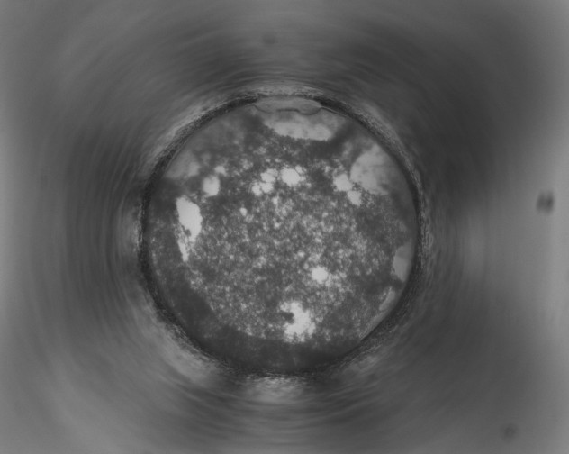X0000116000063200912101327