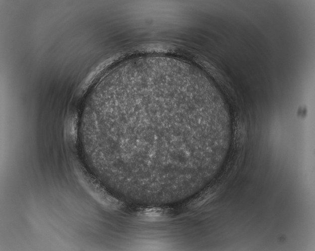X0000116000064200912101327