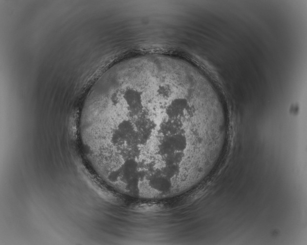 X0000116000065200912101327