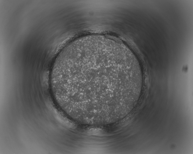 X0000116000066200912101327