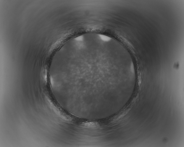 X0000116000067200912101327