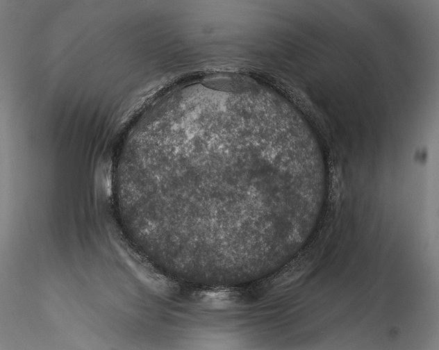 X0000116000068200912101327
