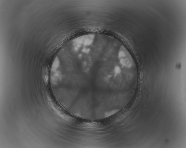 X0000116000069200912101327