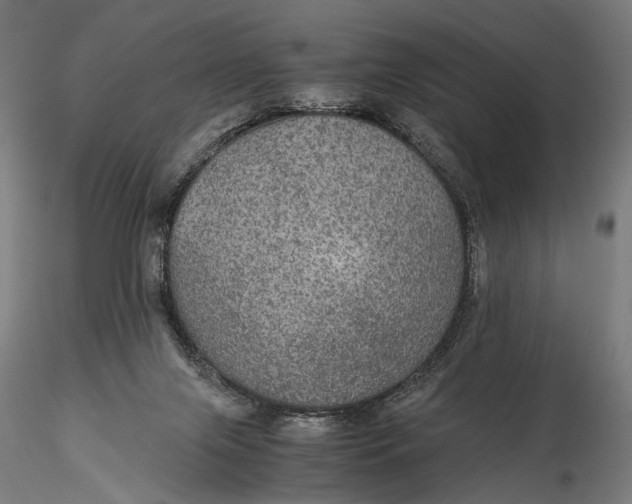 X0000116000071200912101327
