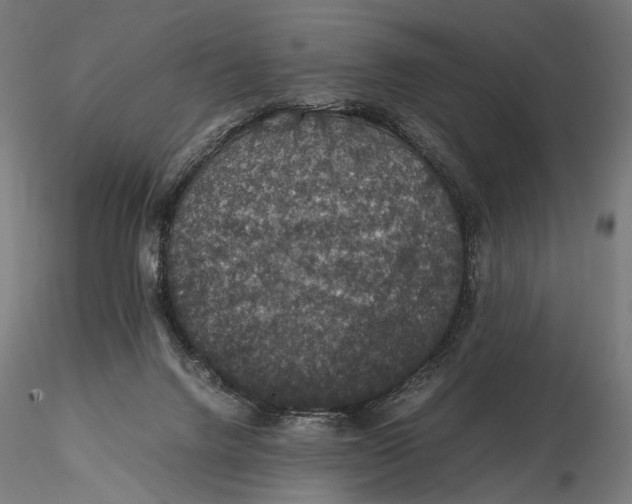 X0000116000072200912101327