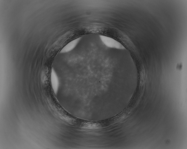 X0000116000073200912101327