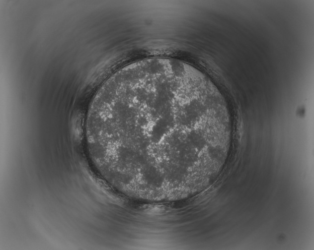 X0000116000074200912101327