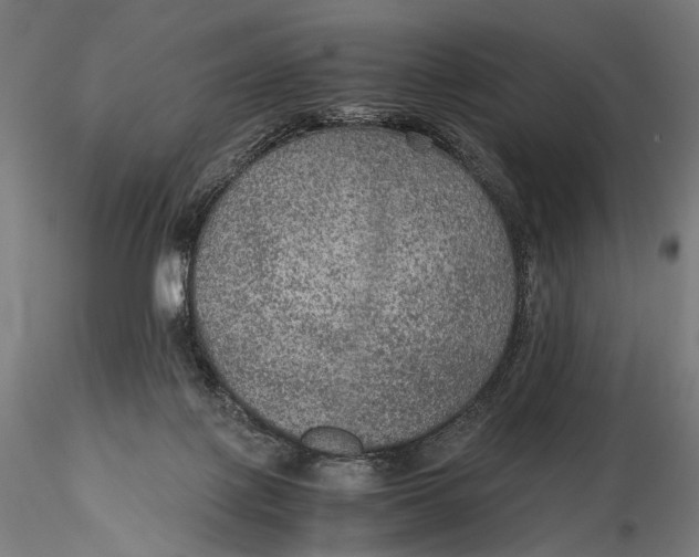 X0000116000075200912101327