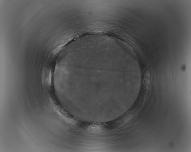X0000116000076200912101328