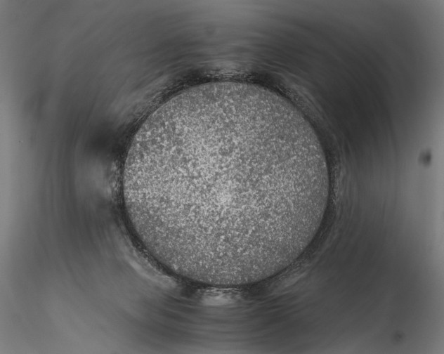 X0000116000077200912101328