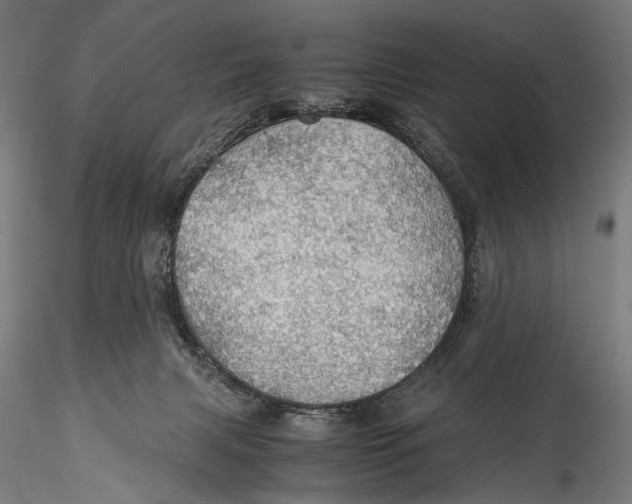 X0000116000079200912101328