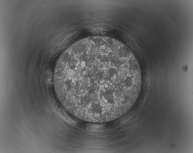 X0000116000081200912101328