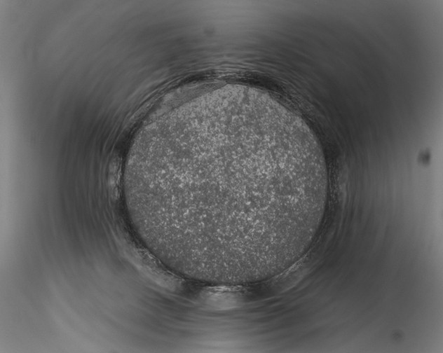 X0000116000082200912101328