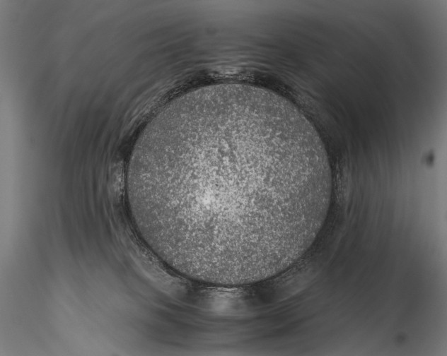 X0000116000085200912101328