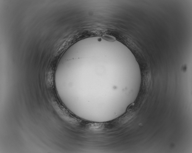 X0000116000088200912101328