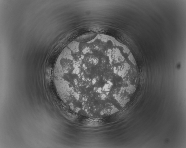 X0000116000093200912101328