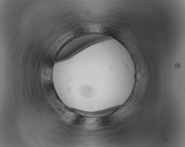 X0000116000096200912101328
