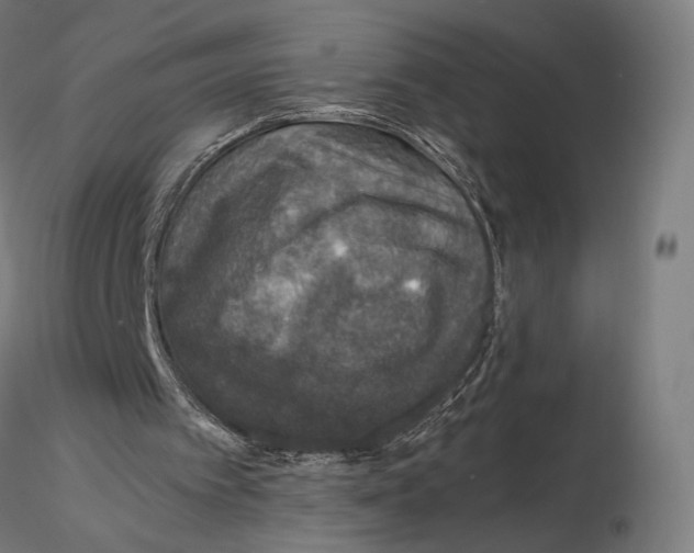 X0000116000097200912101327