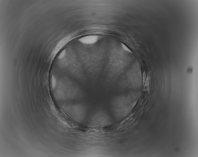 X0000116000099200912101327