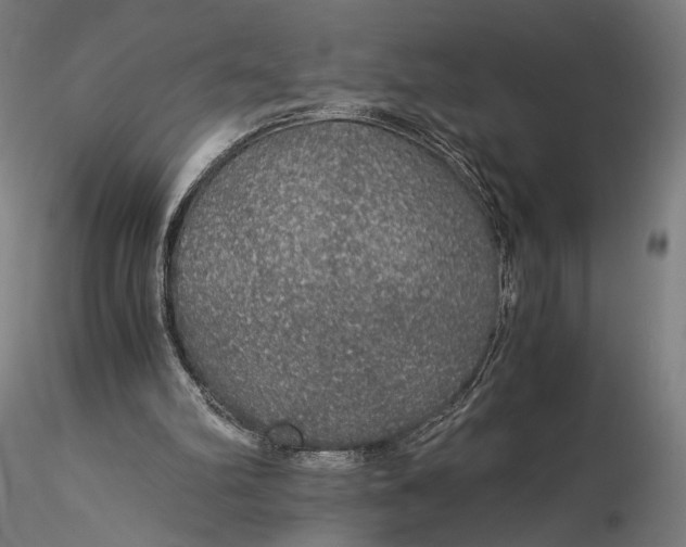 X0000116000102200912101327