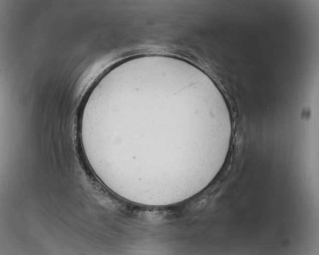 X0000116000103200912101327