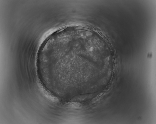 X0000116000104200912101327