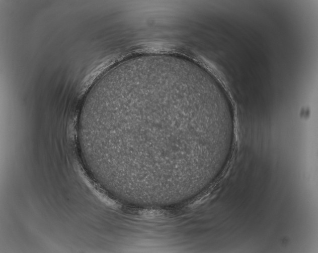 X0000116000105200912101327