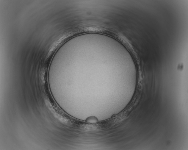X0000116000106200912101327