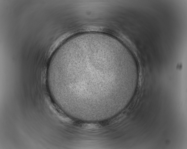 X0000116000107200912101327