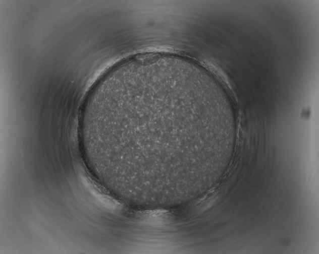 X0000116000108200912101327