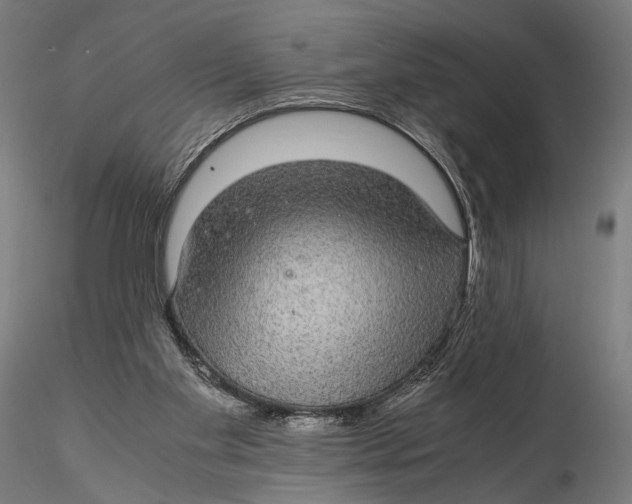 X0000116000109200912101327