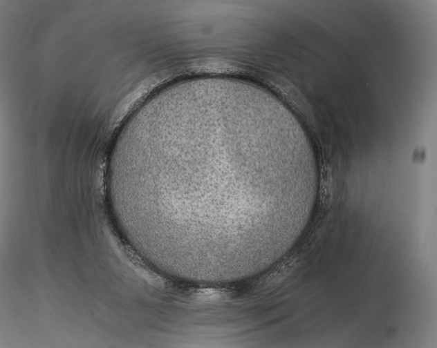 X0000116000111200912101327
