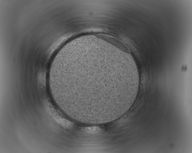X0000116000112200912101327