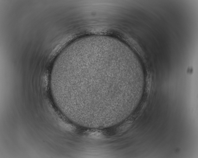 X0000116000113200912101327