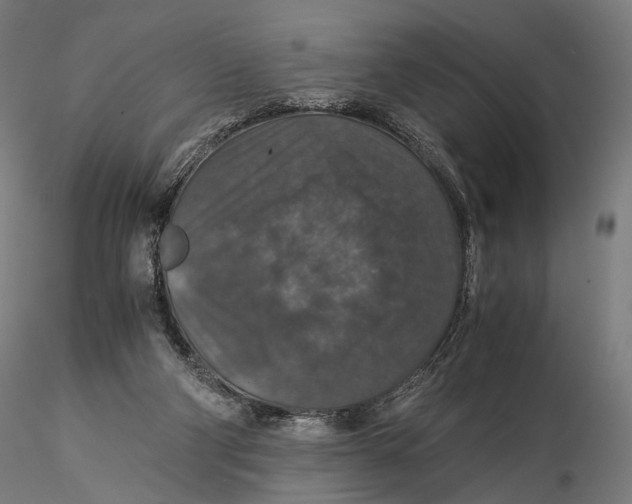 X0000116000114200912101327