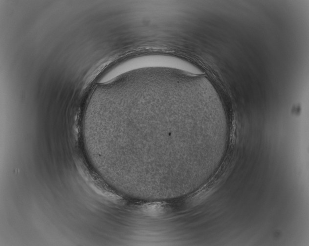 X0000116000116200912101327