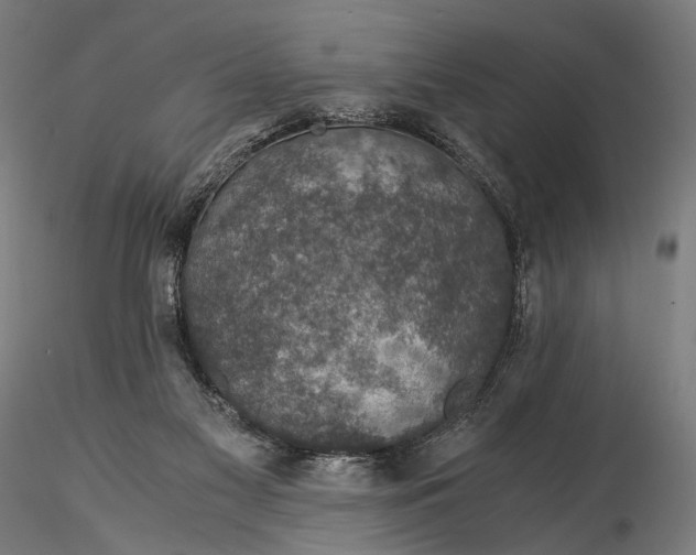 X0000116000117200912101327