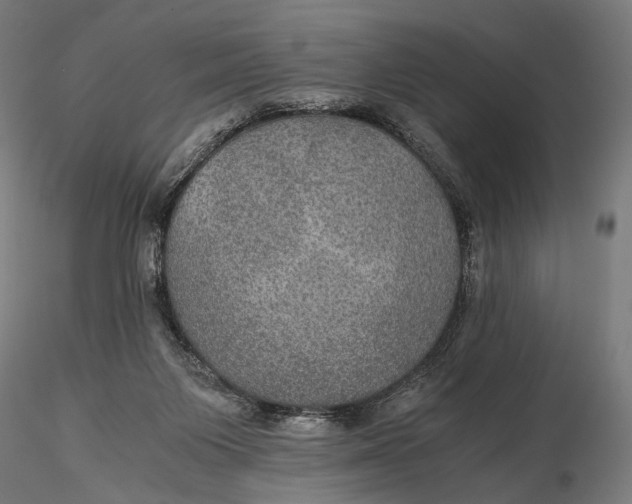 X0000116000119200912101327
