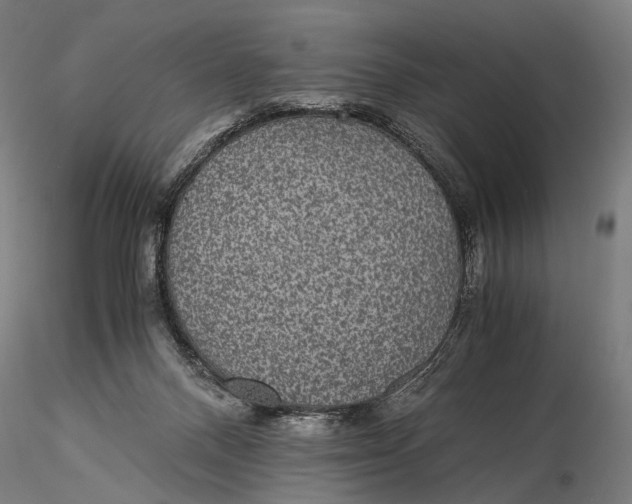 X0000116000120200912101327