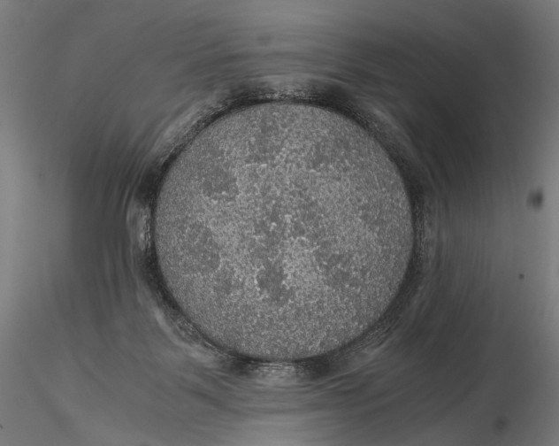 X0000116000123200912101327