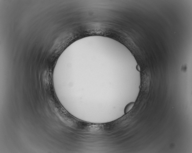 X0000116000126200912101327