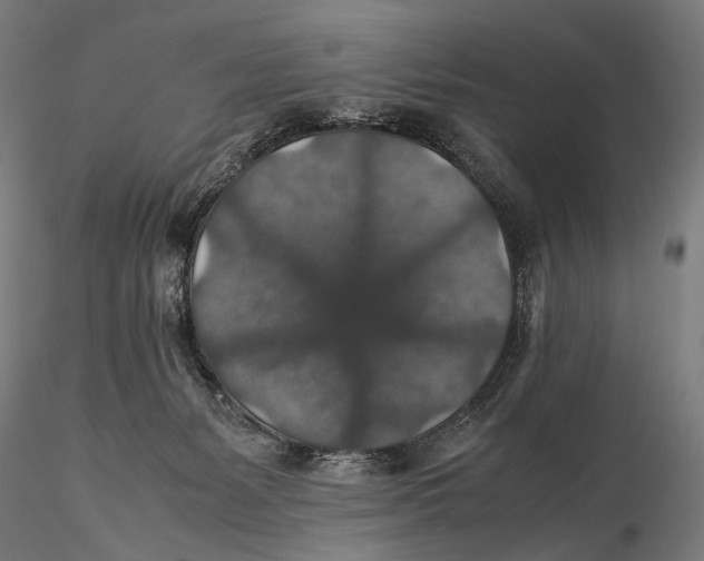 X0000116000127200912101327