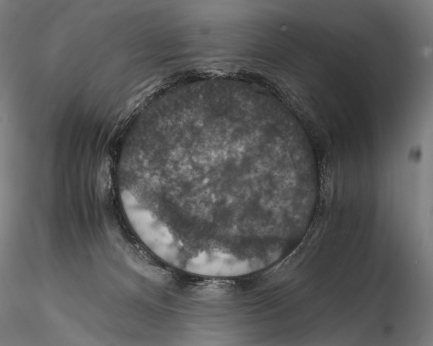 X0000116000128200912101327