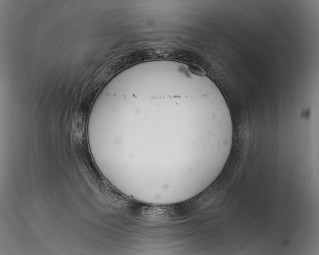 X0000116000129200912101327